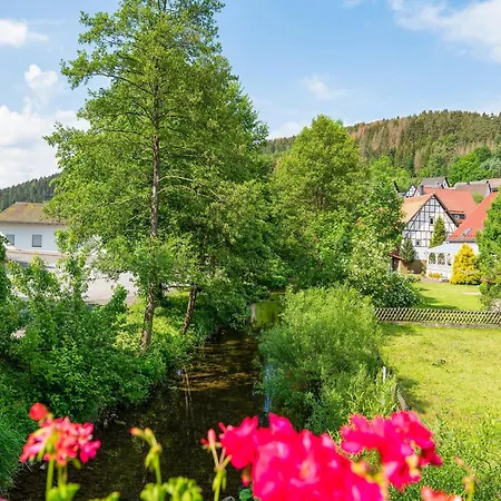 In Bontkirchen , Cleaning Included Apartment Brilon